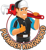 plumber kingwood